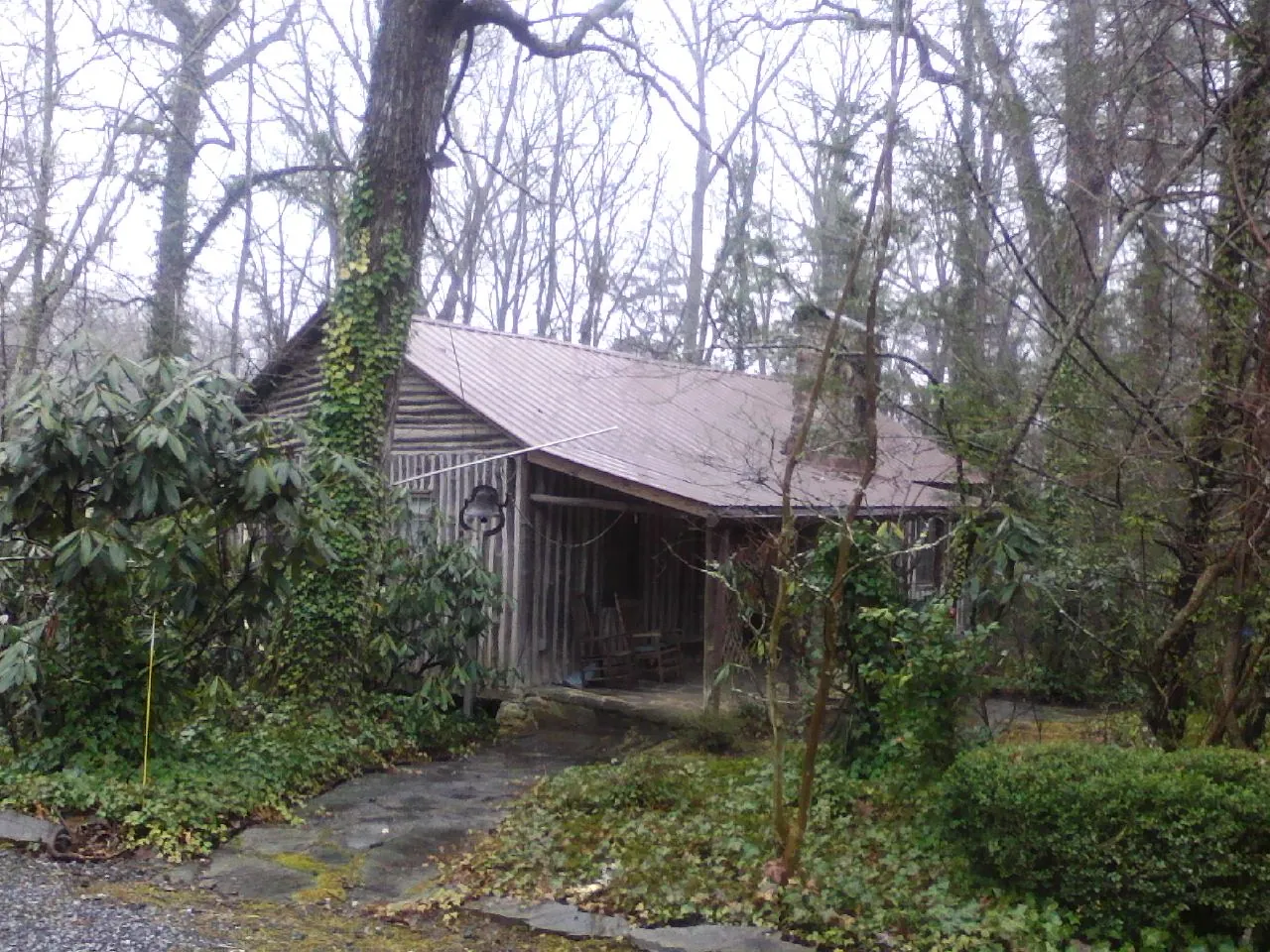 Weathered metal roof on an old board sided cabin in the woods in Lynden