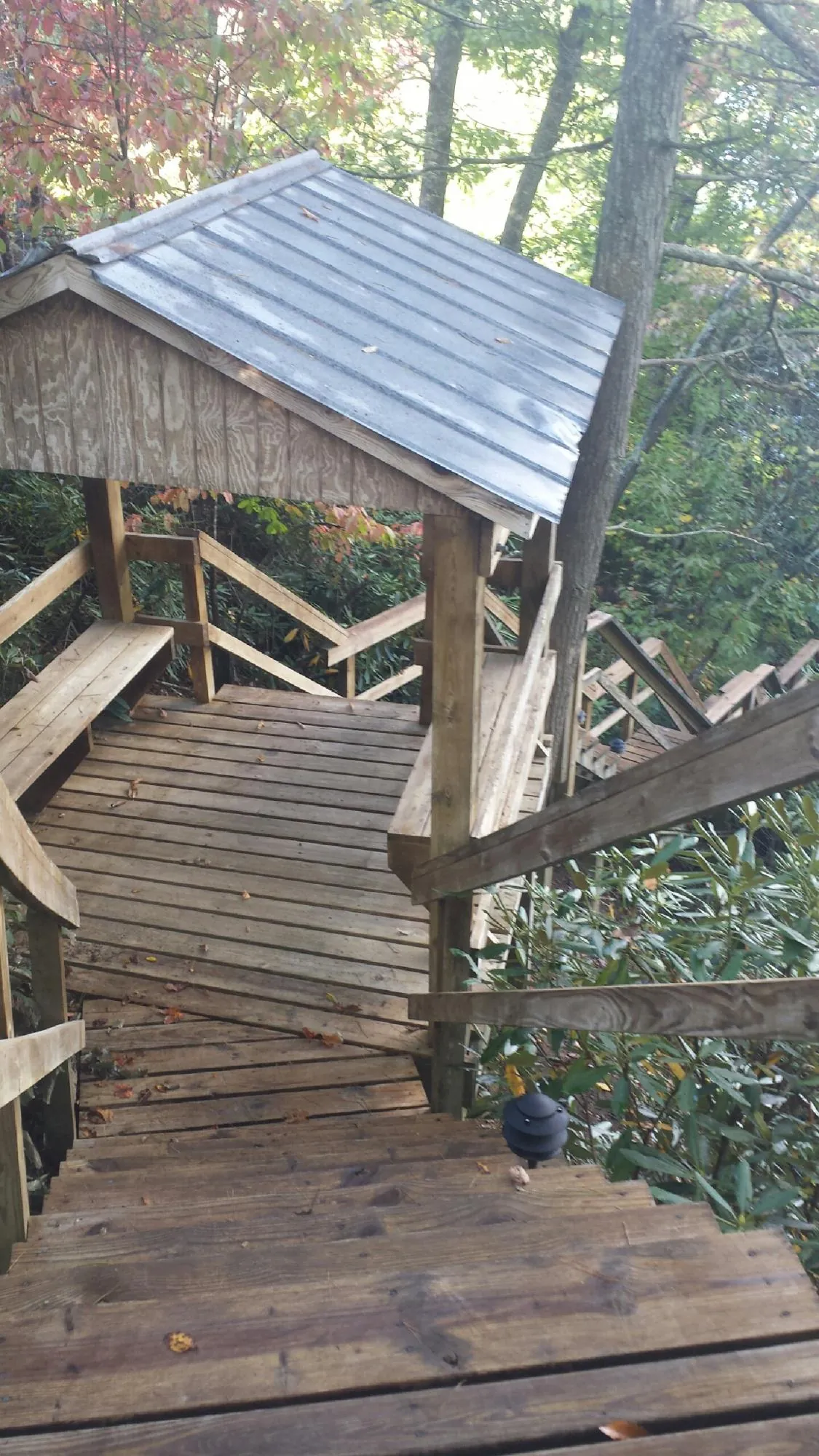 Metal roofed shelter over wooden steps on a wooded walkway — Skylight Repair & Installation work by our crew in Lynden