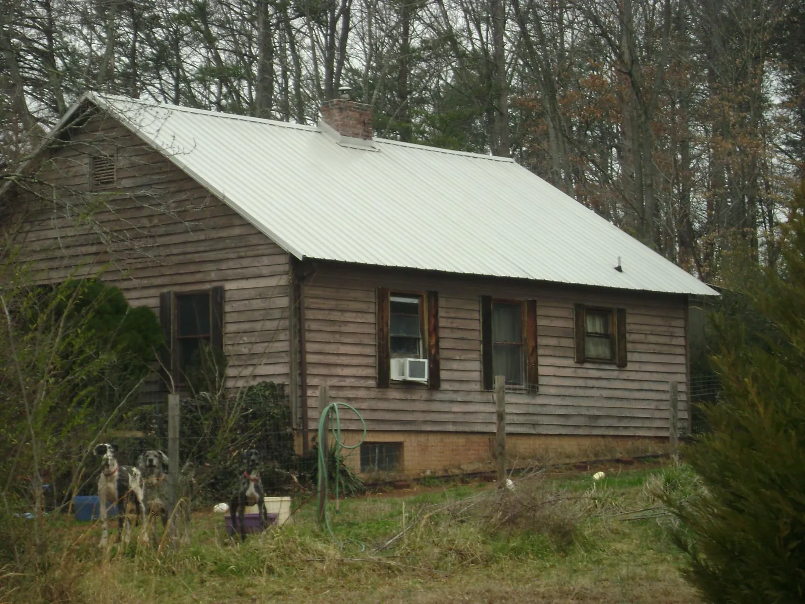 White metal roof on an old wood sided farmhouse, from a Metal Roof Installation job in Lynden